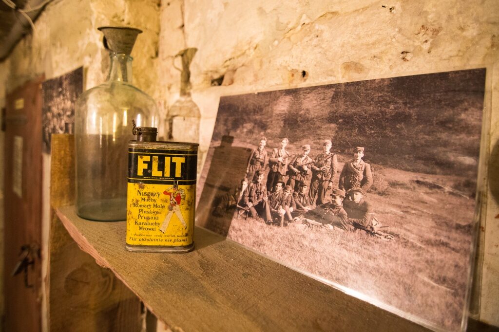 Криївка, Львів