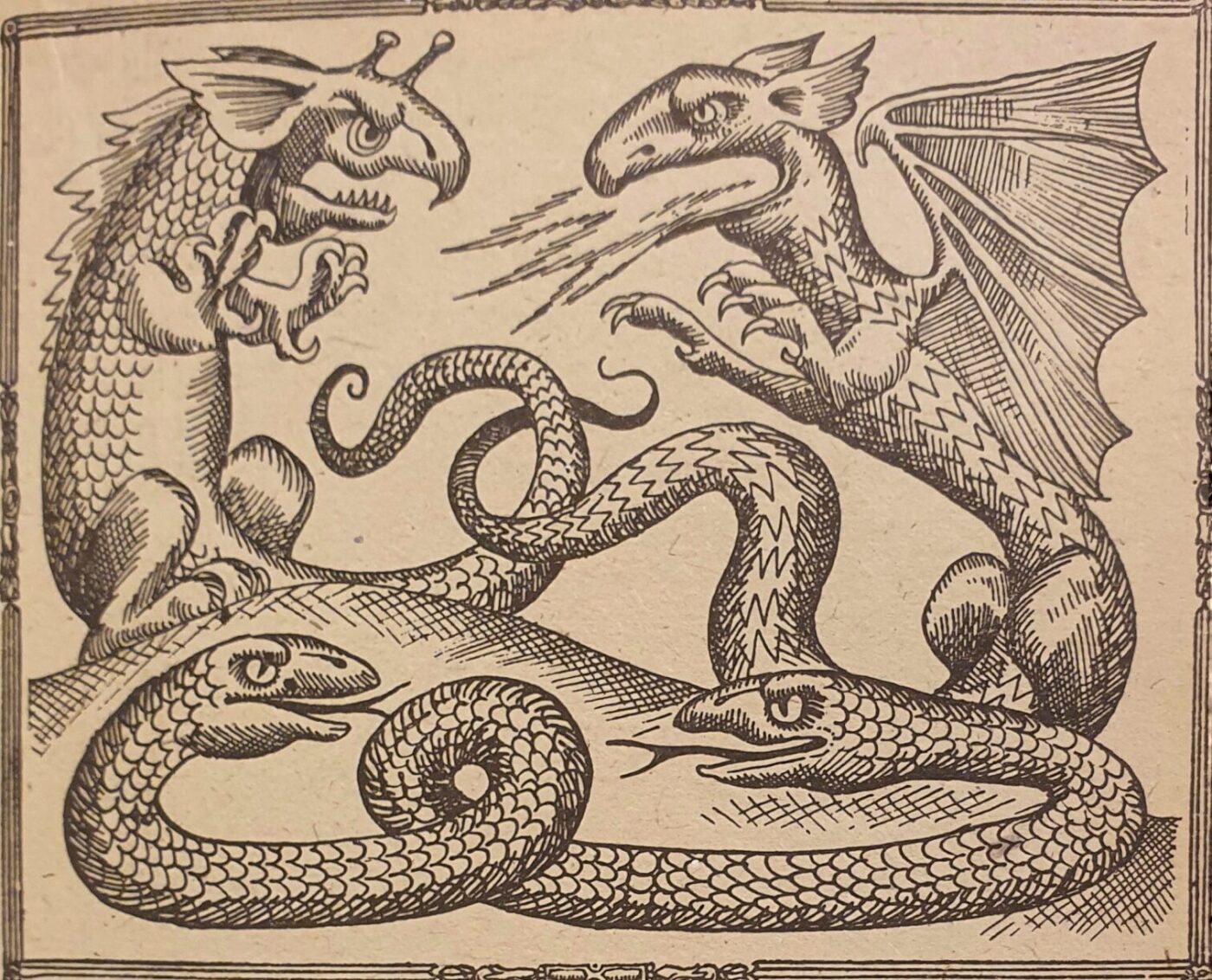 Львівська ениклопедія про драконів