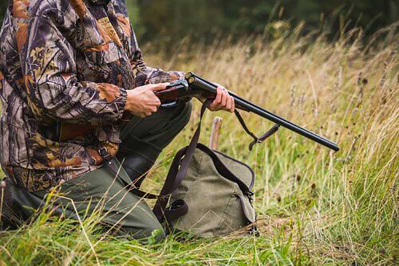 Браконьєри на Львівщині влучили в авто лісничого: кримінальна історія