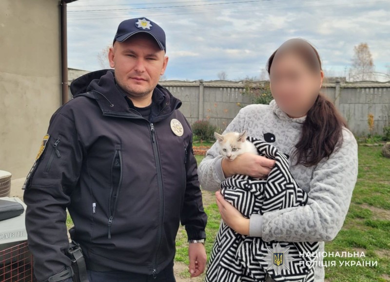 Батька з Золочівського районуприйнялиповідповідальність за розмалювання кота фломастерами