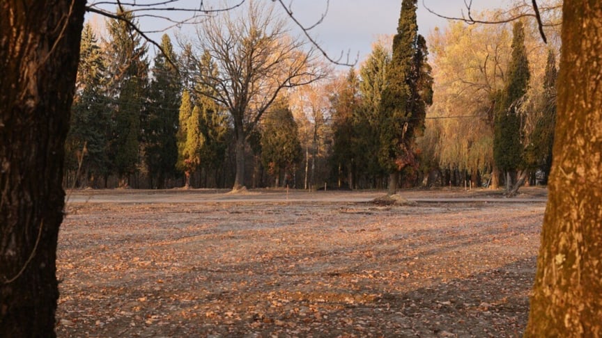 Нове місце поховання загиблих захисників у Львові - деталі рішення міської ради