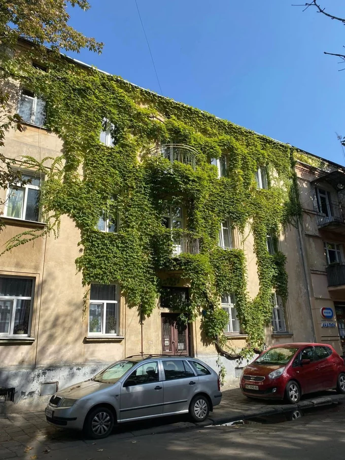 Львів створив реєстр ліан та витких рослин: 322 рослини під охороною