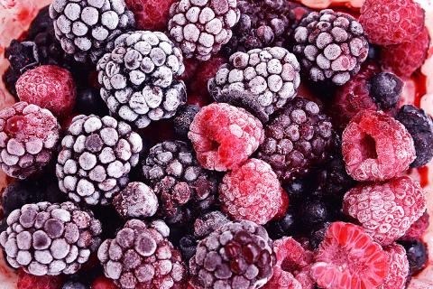 West Berry відкрила завод з переробки заморожених ягід у Дрогобичі