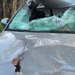 ДТП на Львівщині: водій вбив велосипедиста, втікаючи від поліції
