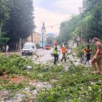 Блискавка вдарила дитину у Львові — 6-річна дівчинка у реанімації