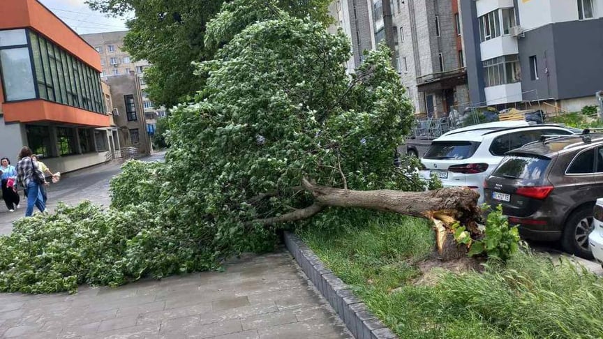 Грози у Львові 29 червня: повалені дерева, зірваний дах, припинені трамваї